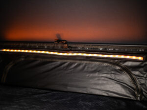 Ruban LED 12V